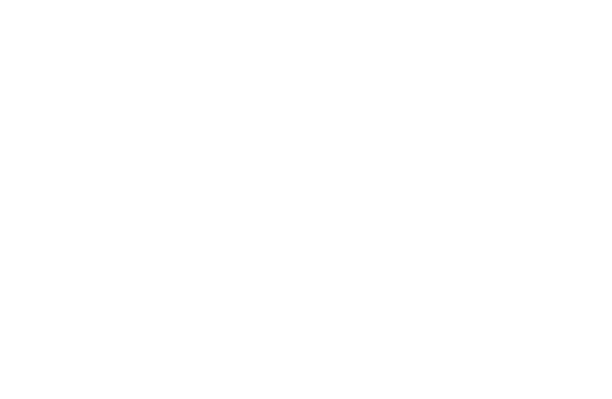 Pilates Plus